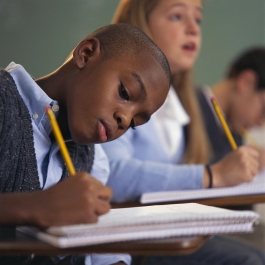 Alunos desesperados ou apaixonados?