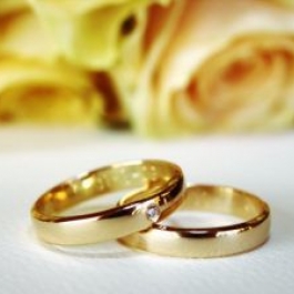 Boda em busca